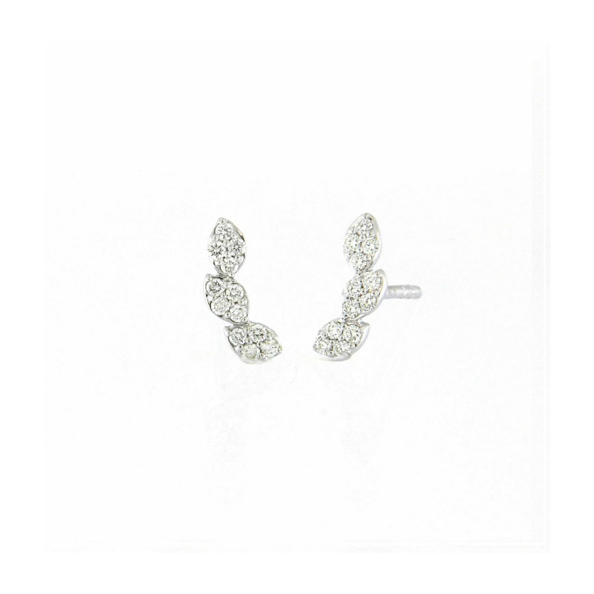 ARRACADES JAIBOR - E4853MW0