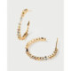 ARRACADES CRIOLLES PDPAOLA CIRCONITES - AR01-C78-U
