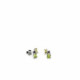 PENDIENTES LINEARGENT PLATA CIRCONITAS - 18855-V-A