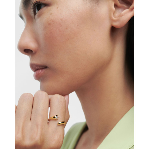 ANELL PDPAOLA - AN01-D69-12