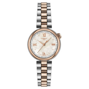 RELOJ TISSOT DESIR 28MM - T1520102211800