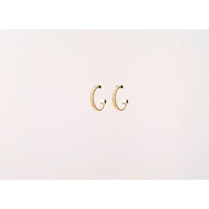 ALISIA EARRINGS - AL3631ORO