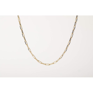 ALISIA NECKLACE - AL4896ORO