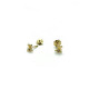 BEAR CLIMENT 1890 EARRINGS - D-5013R/BR