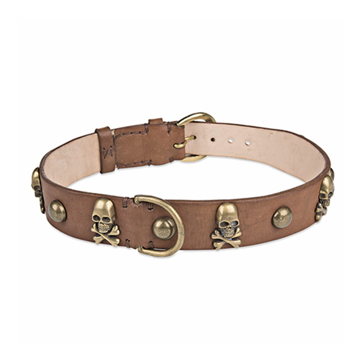 COLLAR DE PERRO MARRÓN CLARO - DOGBROWN3,5