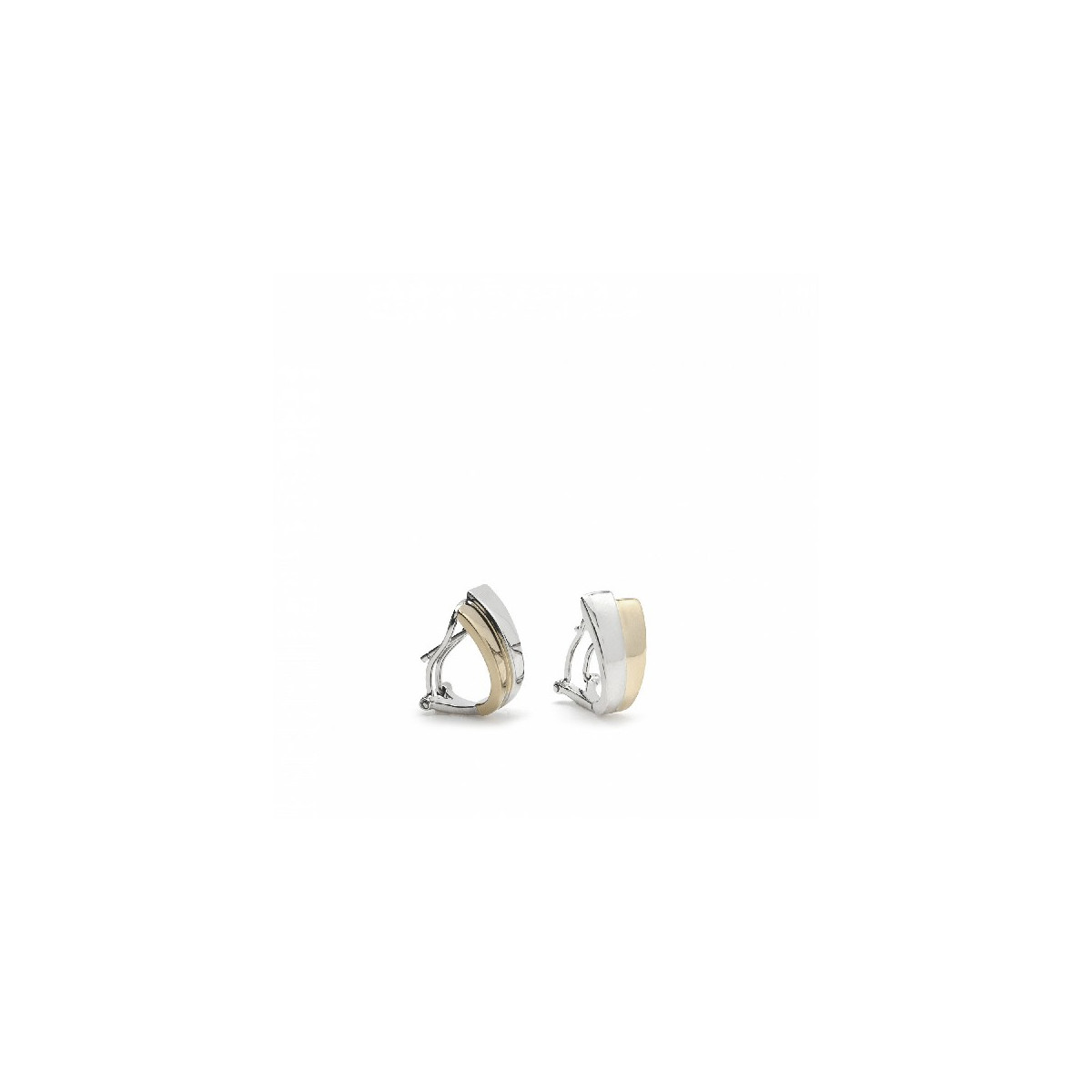 LINEARGENT EARRINGS - 12631-G-A