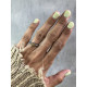 ANELL SUNDIELD CITRI - AN062460/25