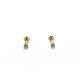 CLIMENT 1890 EARRINGS - D-0709/R/ZR