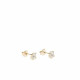 PENDIENTES LINEARGENT - 10061-G-A